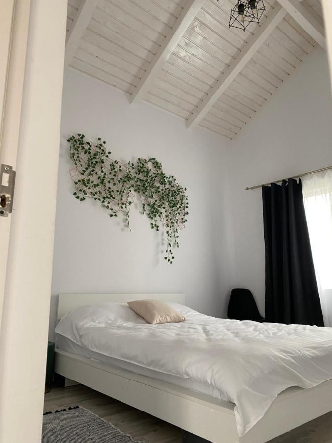 Cabana Evay Ocnele Mari Exterior photo